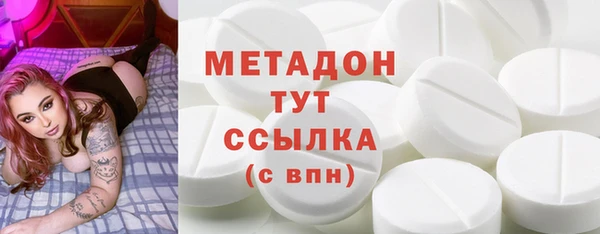 индика Тайга