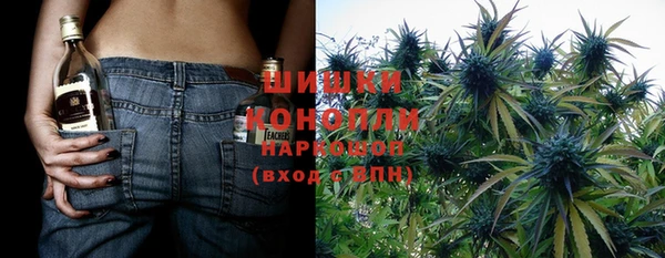 шишки Балахна