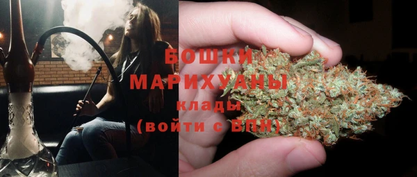 ГАЛЛЮЦИНОГЕННЫЕ ГРИБЫ Армянск