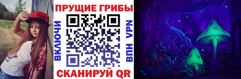Псилоцибиновые грибы Psilocybine cubensis  купить наркотик  Волгоград 